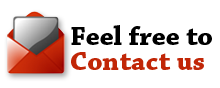 Feel Free to contact us