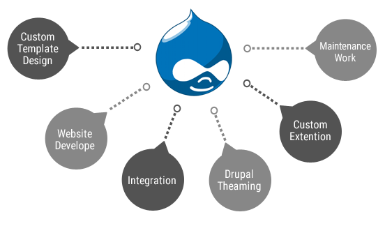 Drupal Development