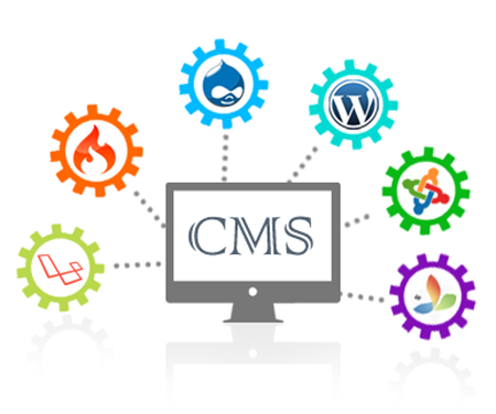 About Taurus Web Solutions